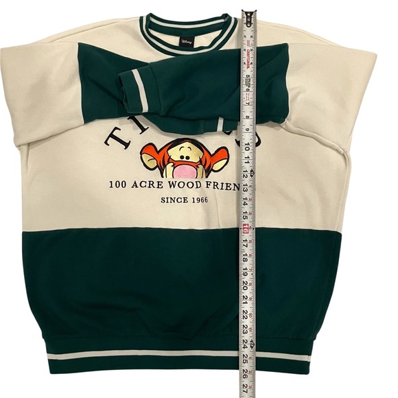 Disney Tigger 100 Acre Wood Friends Colorblock Sweatshirt Green Cream Small - Picture 5 of 6